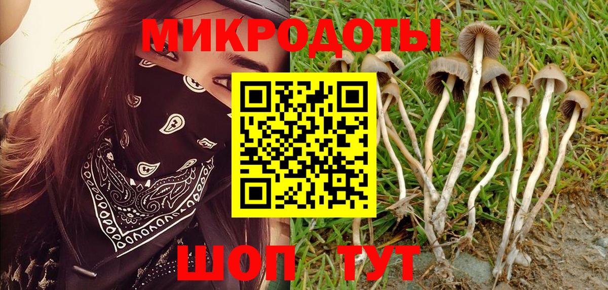 где найти наркотики  Псилоцибиновые грибы GOLDEN TEACHER  Вход с VPN  Ефремов 